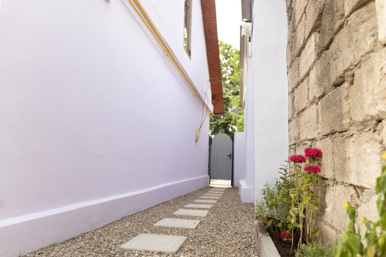 Nomad Sud Studios In Town Center Cahul Εξωτερικό φωτογραφία